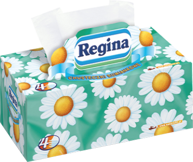 REGINA CHUSTECZKI A'96 11+1GRATIS